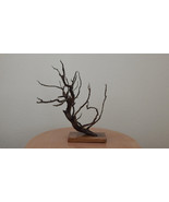 Naturally Dried Decorative Branch, Mounten Cedrus, Cedar, Natural Wood - $149.00