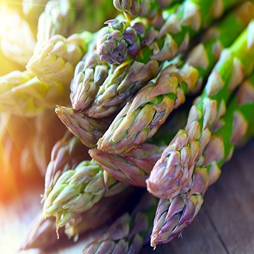 Jersey-Supreme 100 Live Asparagus Bare Root Plants -2yr-Crowns from Hand Picked