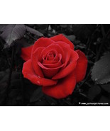 ★WHAT ARE HIS OR HER TRUE FEELINGS LOVE  PSYCHIC E-MAIL READING HIGH ACC... - $444.00