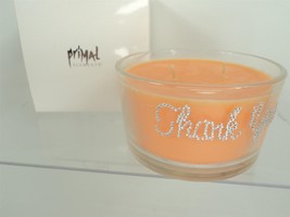 Primal Elements 9.5 oz Scented 2-Wick Candle - Wish Candle - Thank You - $14.50
