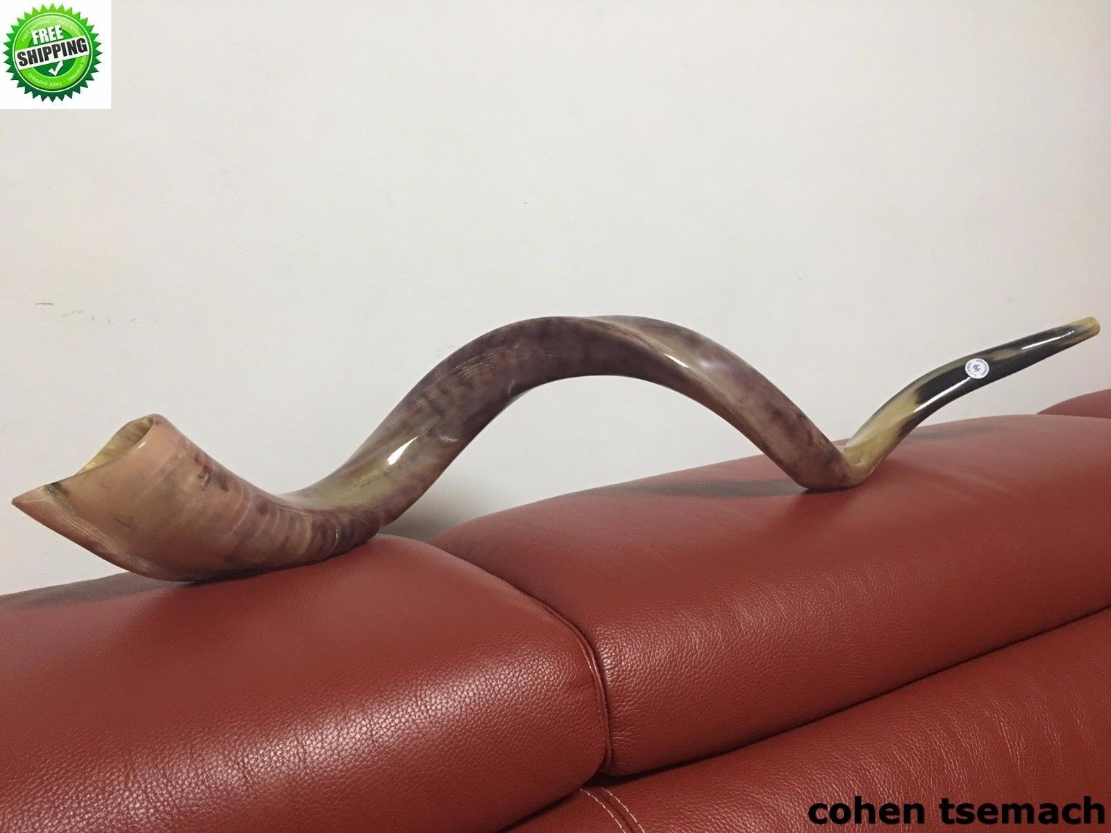 Kudu Yemenite HORN SHOFAR Kosher full Polished approx 43"44" judaica
