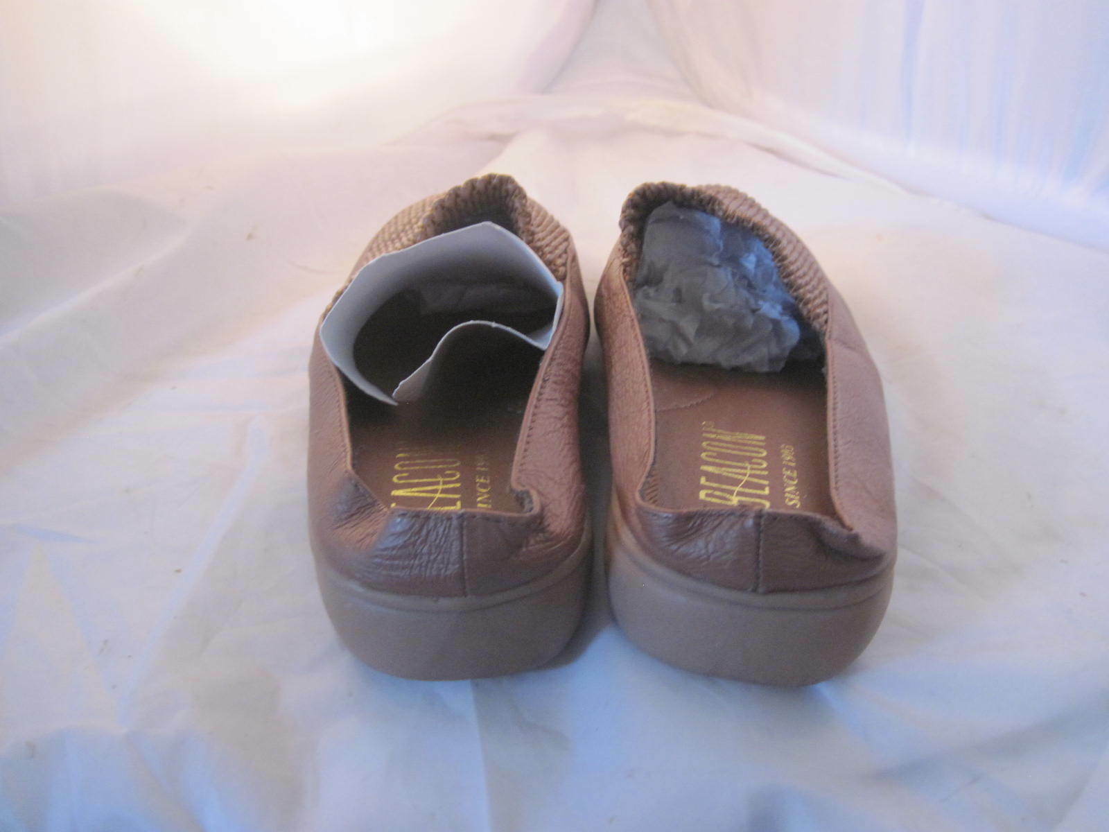 beacon canvas shoes