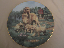GOLDEN RETRIEVERS collector plate ROBERT Bob CHRISTIE Sporting Dogs HUNTING - $49.00