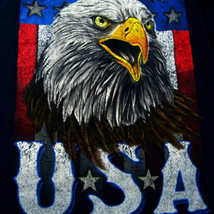 American Bald Eagle USA T-Shirt Mens Sz M Blue Cotton Fruit of the Loom 3FCBWYR - $9.95