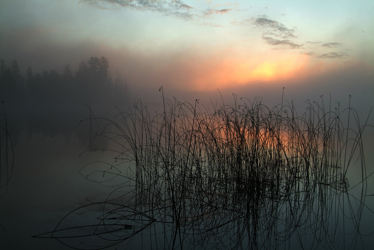 Foggy Lake Sunrise 8x10