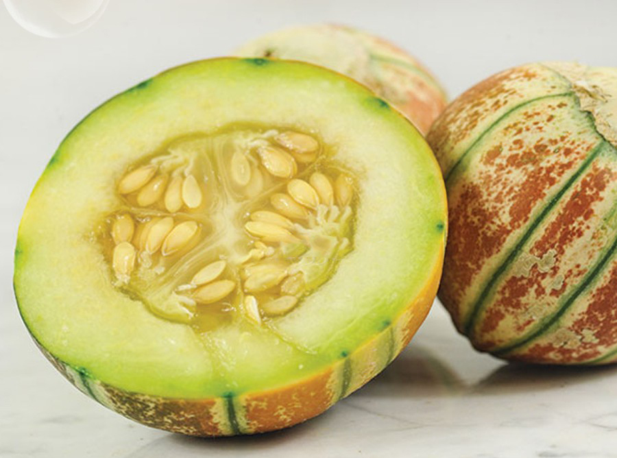 Rare Kajari Sweet Melon Fruit, melon colorful skin fruit, 10 pcs seeds