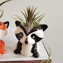 Panda Planter with Air Plant, Raccoon Planter, Mini 3" Ceramic Plant Pot image 1
