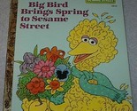 Big bird spring1a thumb155 crop