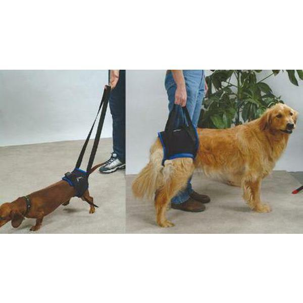 Rear Back Leg Support Harness for Dogs S XL surgery paralysis or