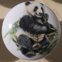 Cabinet Knobs Giant  Panda Bear cub Wildlife - $5.25