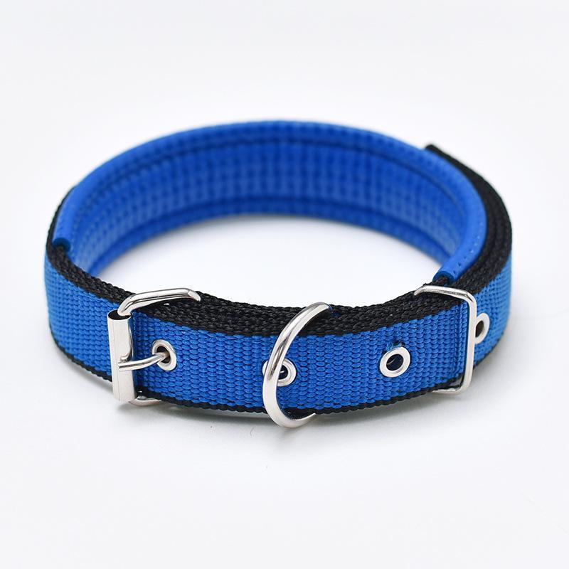 Blue M Walk Me Nylon Flat Dog Collar - Blue - M