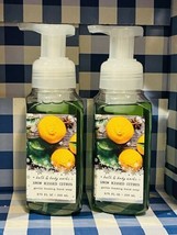 2xNew Bath & Body Works Snow Kissed Citrus Gentle Foaming Hand Soap Wash 8.75 Oz - $24.65