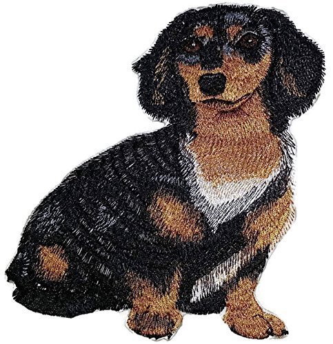 Amazing Custom Dog Portraits [Dachshund Longhair] Embroidery Iron On/Sew Patch [