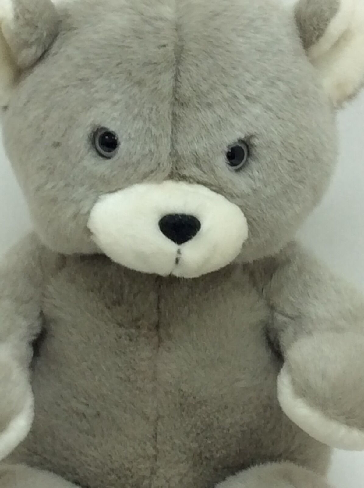 sky teddy bear