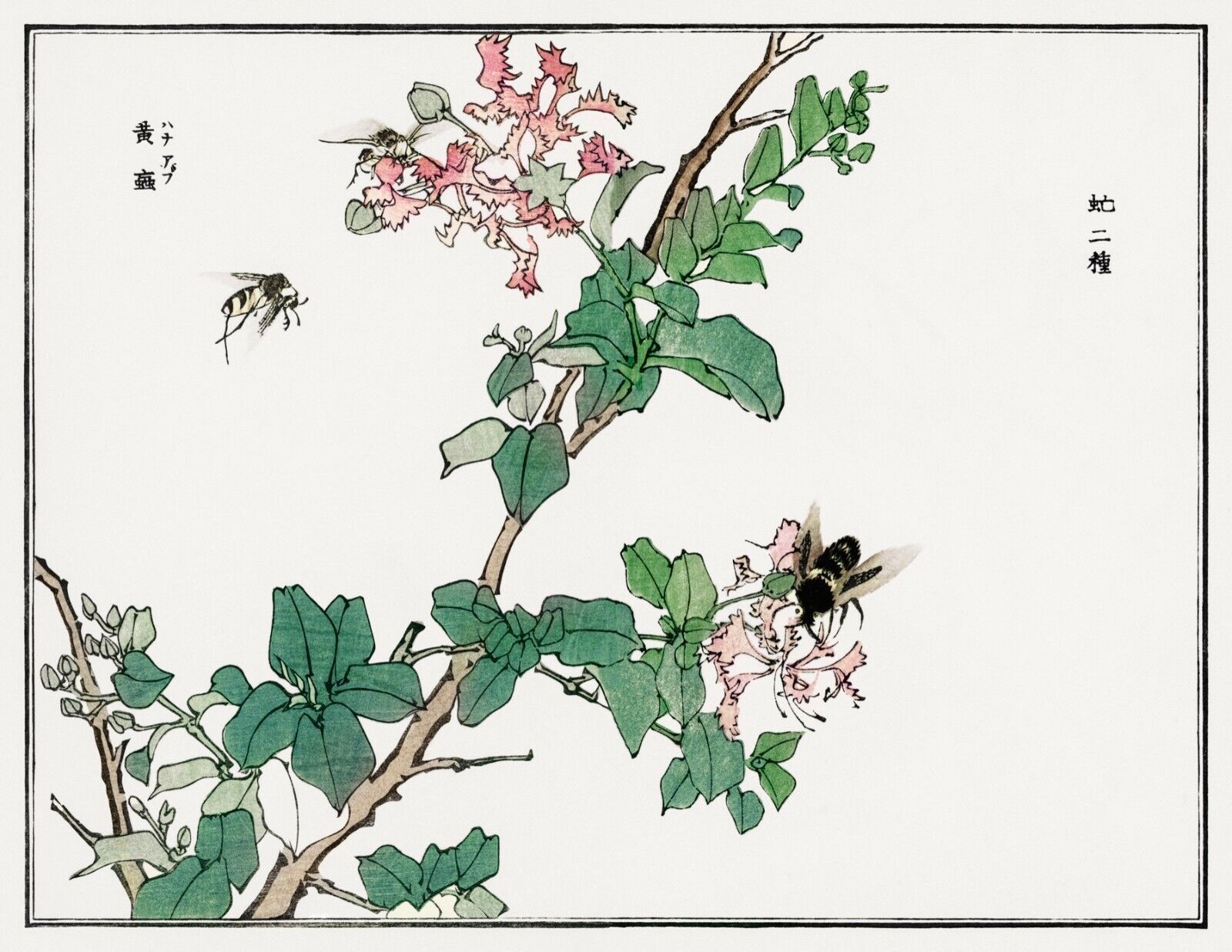 10062.Decor Poster.Room home wall.1910 Japan print.Morimoto Toko art.Bees
