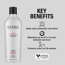 Kenra Color Maintenance Shampoo image 6