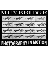 11524.Decorative Poster.Wall art decor.Muybridge photography.Running Horse - $13.86 - $59.40