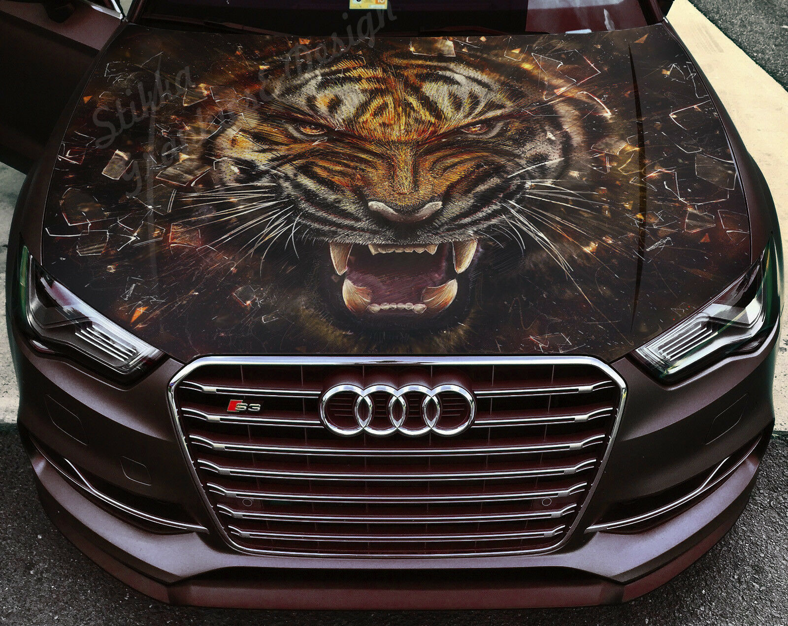 Vinyl Car Hood Full Color Graphics Decal Tiger Beast Grin Nature Animal ...