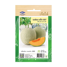 Melon Cat 697 Seeds Home Garden Asian Fresh Vegetable The Best Thai Seeds - $7.98