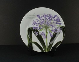 Baum Brothers Agapanthus Plate Lily of the Nile African Lily Blue Lily 8&quot; - $21.78