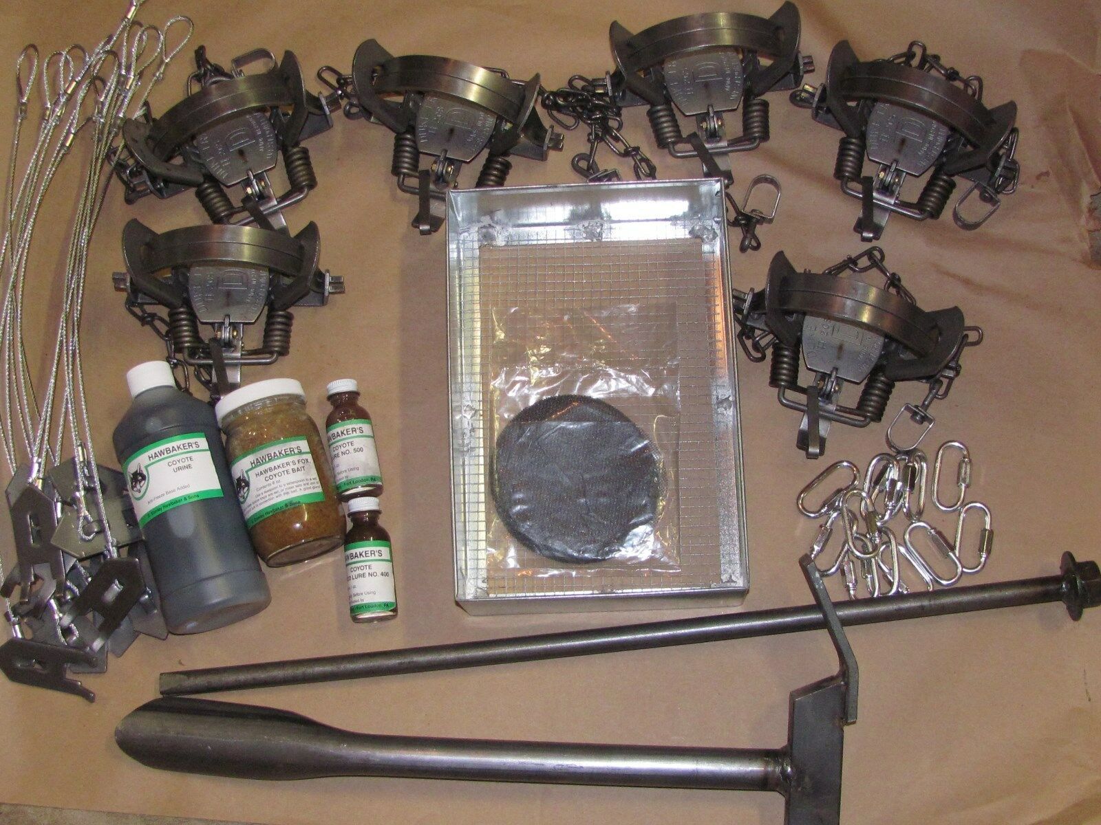 Coyote Trapping Package duke 2 coil spring kit Fox Coyote Raccoon New