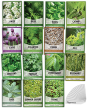 15 Herb Seeds For Planting Varieties Heirloom Non-GMO 5200+ Seeds Indoor... - $27.04