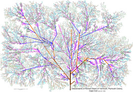Il fullxfull.1601051678 5yhc thumb200