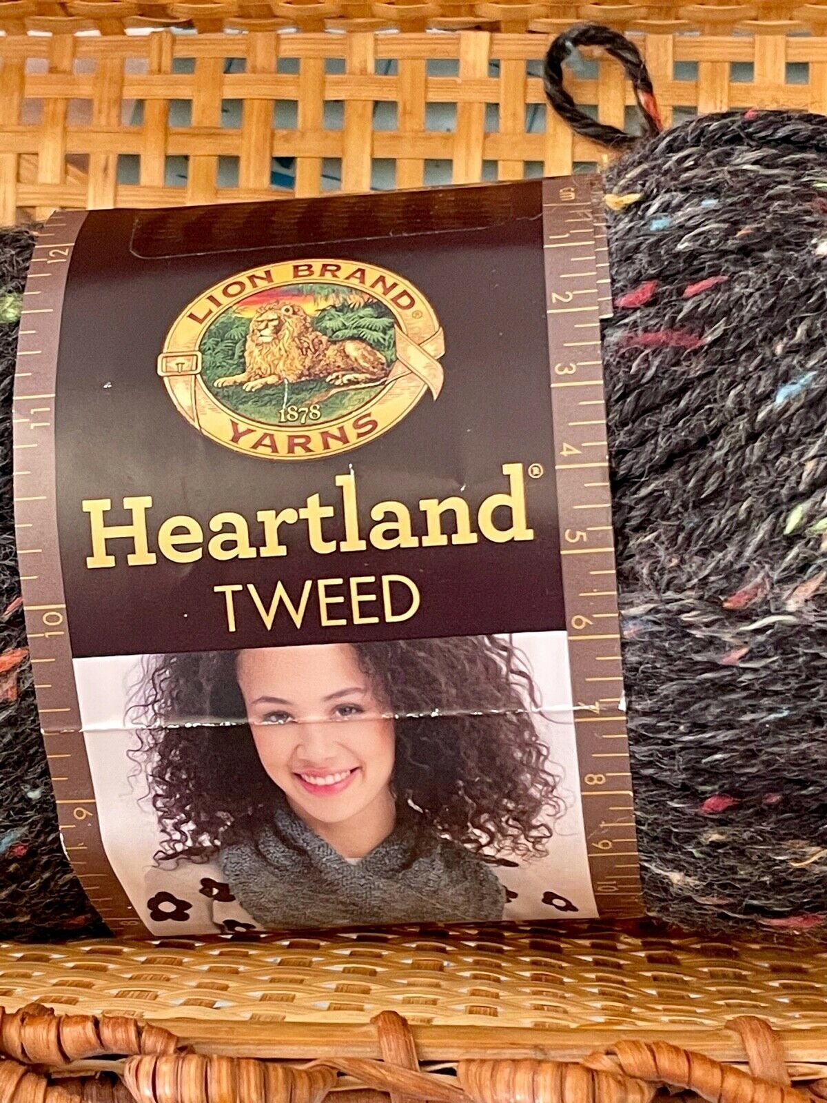 Lion Brand Heartland Tweed premium Acrylic Worsted Wt Yarn - Black Canyon Tweed