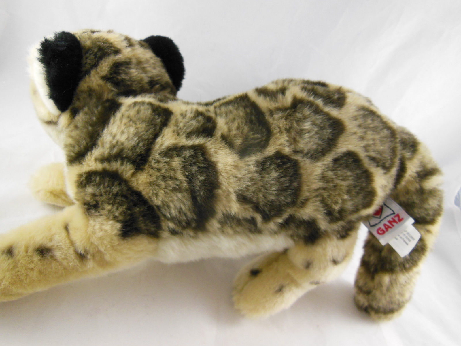 webkinz signature endangered clouded leopard