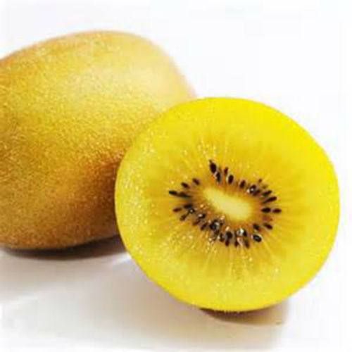 Rare Golden Kiwi Fruit ! 10 Seeds! Hardy Zone 711! SWEET TASTE! COMB