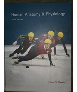 Human Anatomy & Physiology Sixth Edition by Elaine N. Marieb Textbook - $20.00