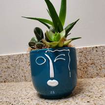 Succulent Arrangement in Blue Face Planter, Indoor House Plant Pot, 4" Ceramic image 3