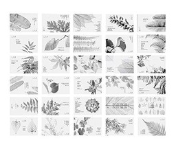 30 Pieces of a Set Natural Plants Theme Postcards Greetings Card - $13.24