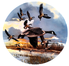 The Landing - Canadian Geese Collector Plate Bradford Exchange 1986 Plat... - $12.99