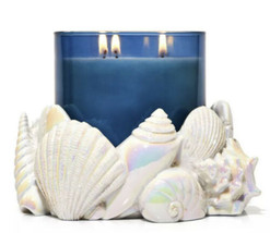 Bath And Body Works "Sea Shells" 3-Wick Candle Holder Beach Decor Nwt - $54.44