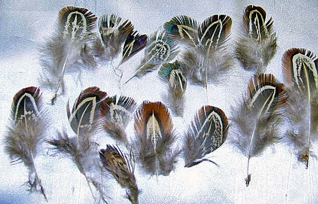 Fly Tying Materials Cock Pheasant Neck Feathers 4 Grams Natural Brown