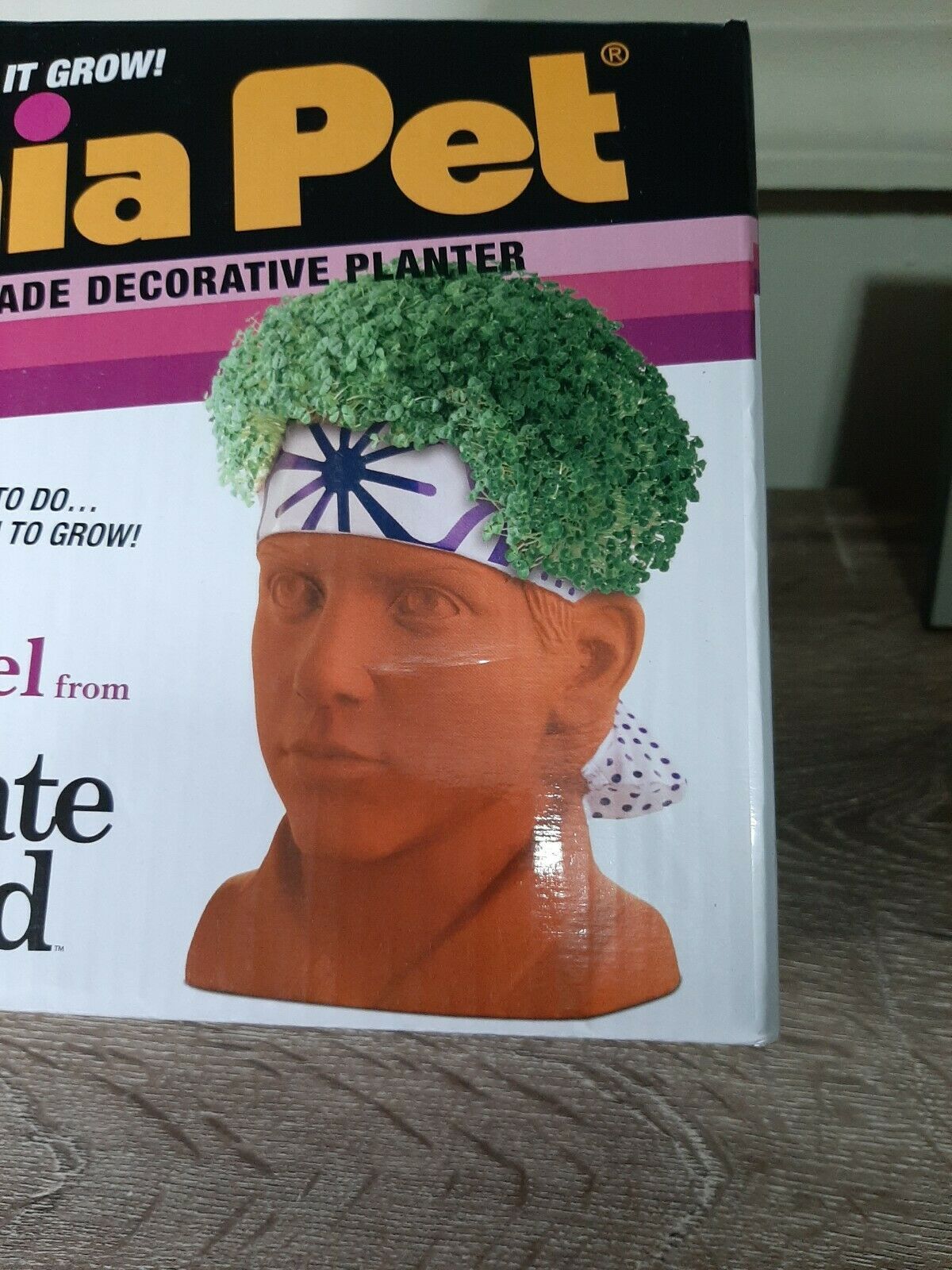 The Karate Kid Chia Pet Daniel Decorative Pottery Planter New! Planters