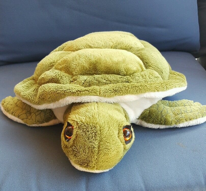 wishpets turtle