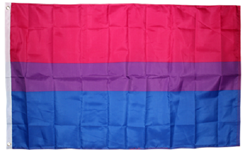 12x18 12/"x18/" Wholesale Combo Gay Pride Rainbow /& Bi Bisexual Stick Flag