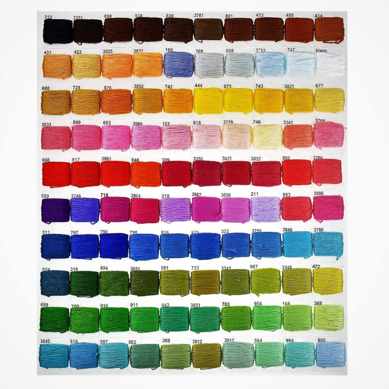 Embroidery Floss KitDmc Color100 Embroidery Thread Organizer Storage Box, Frie Hand