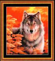 “Gaze” Wolf Counted Cross Stitch Pattern By Dyan Allaire Kustom Crafts Inc. - $14.59