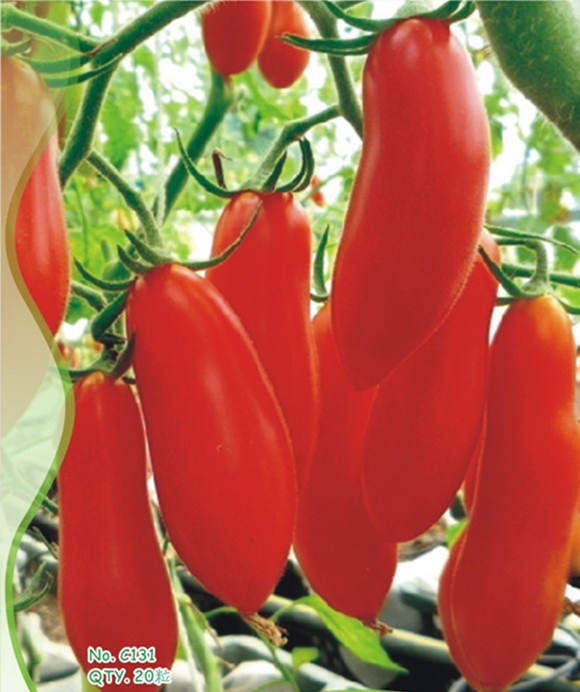 BEST PRICE 20 Seeds Red Banana Tomato,DIY Vegetable Seeds NF478 DG