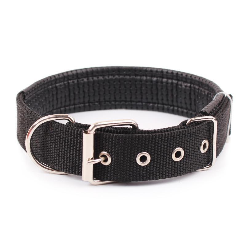 Black XL Walk Me Nylon Flat Dog Collar - Black - Xl