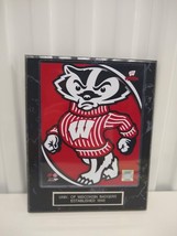 Wisconsin Badgers 10 1/2 x 13 Black Marble Logo Plaque With 8x10 Photo - $12.50