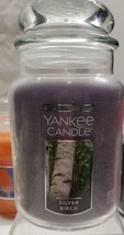 NEW Silver Birch Yankee Candle Original Large Jar Candle  22 oz single w... - $32.67