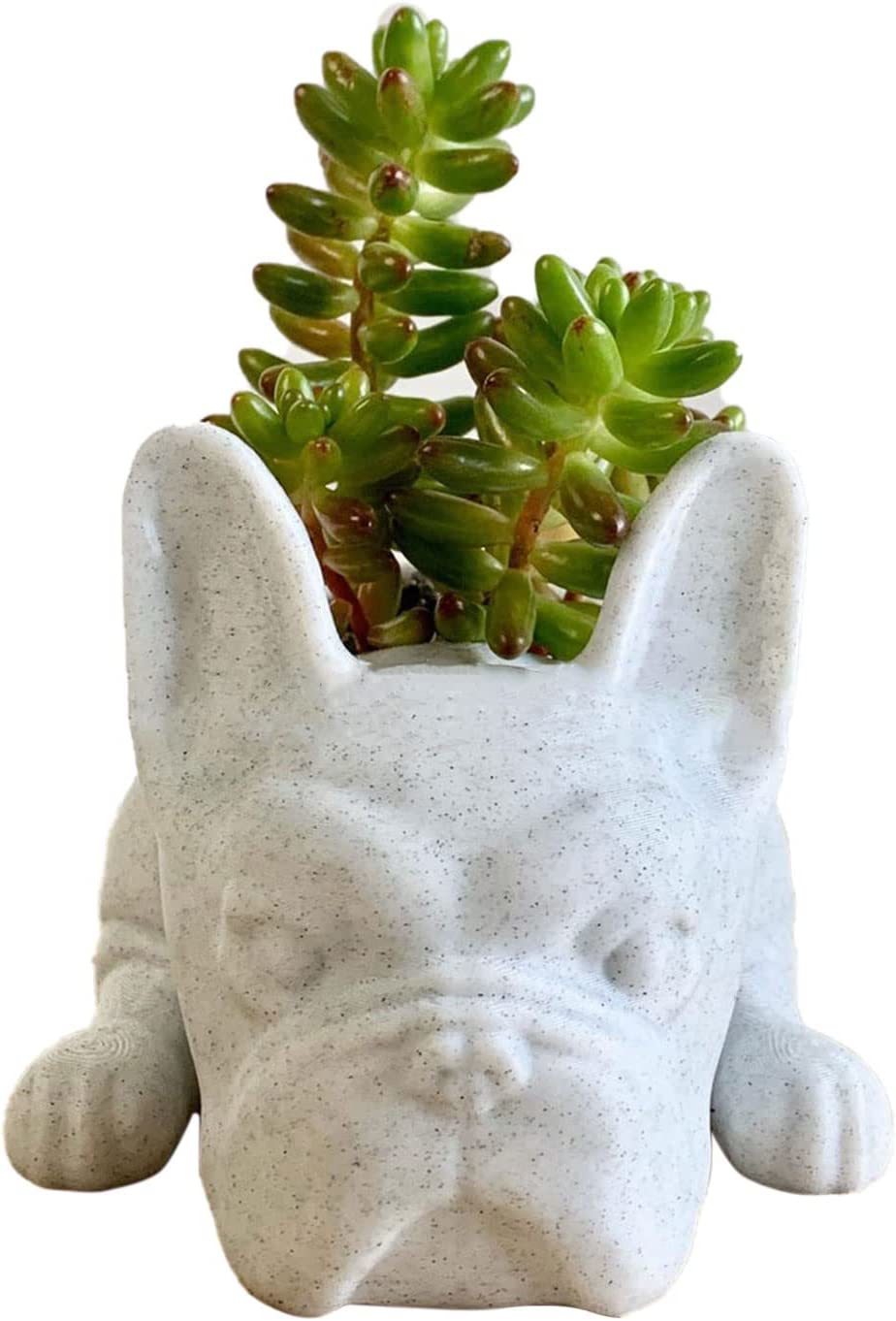 Primary image for Dysetcs Resin Dog Succulent Planter Mini Puppy Air Plant Planter,French, White