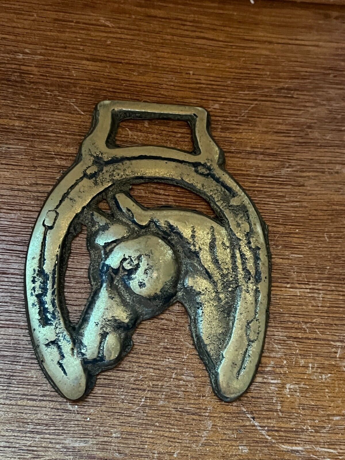 Solid Brass Horse Head inside Lucky Horse Shoe Bridle Medallion