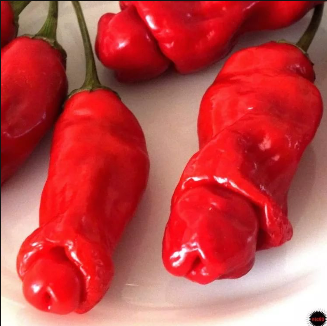 Super Sale 200 Seeds Peter Pepper Bonsai Penis Chili