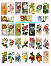 1x2flowers thumb200
