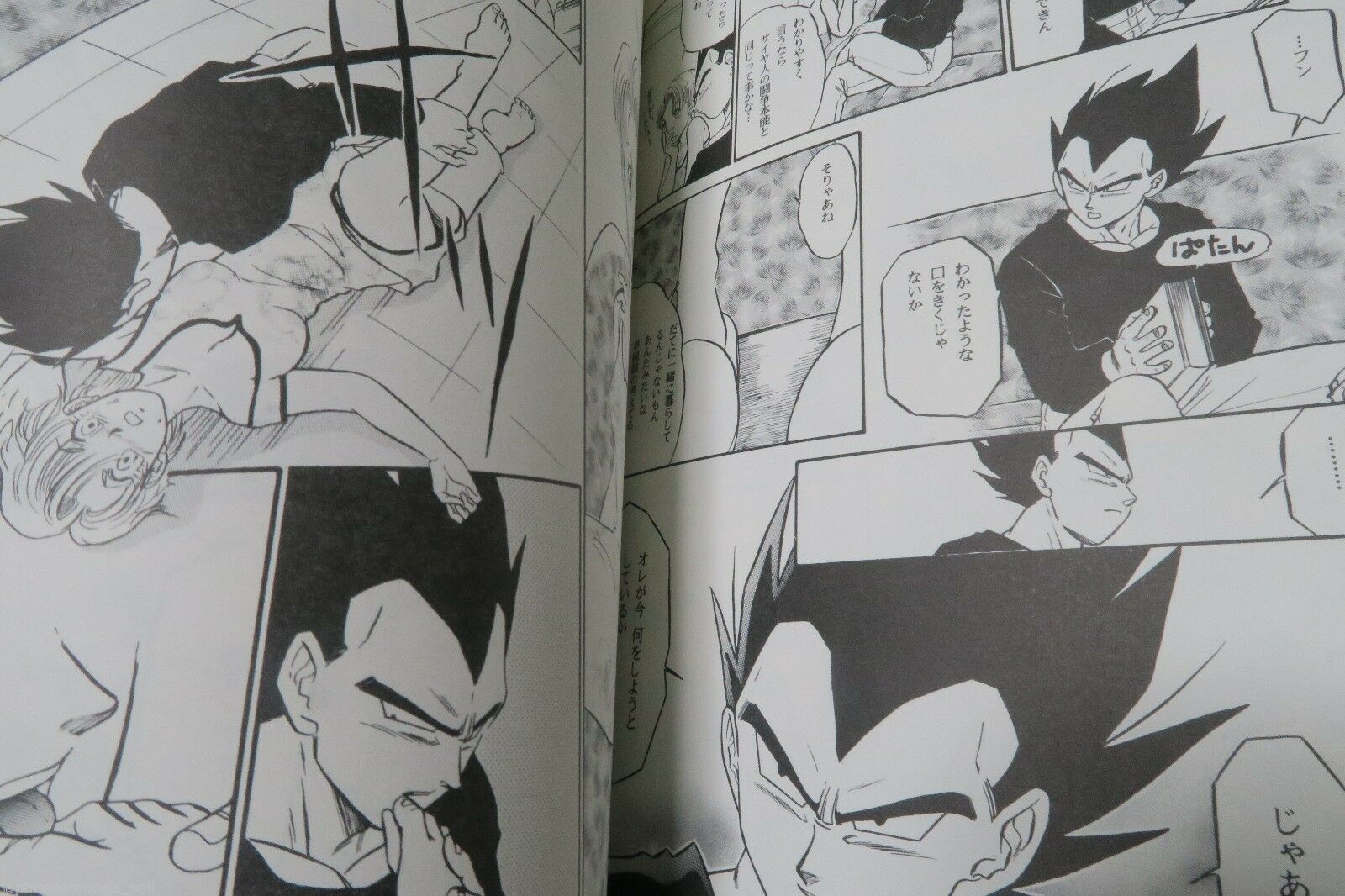 vegeta x kakarot